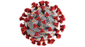Illustration du Coronavirus